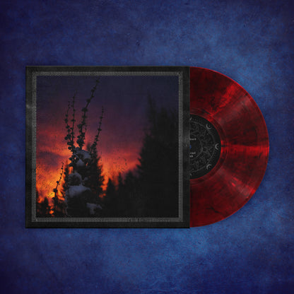 Nocturnal Womb: "Bloodlust" Edition