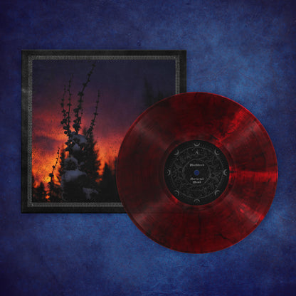 Nocturnal Womb: "Bloodlust" Edition